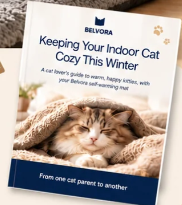 + FREE Belvora - Kitty Winter Guide