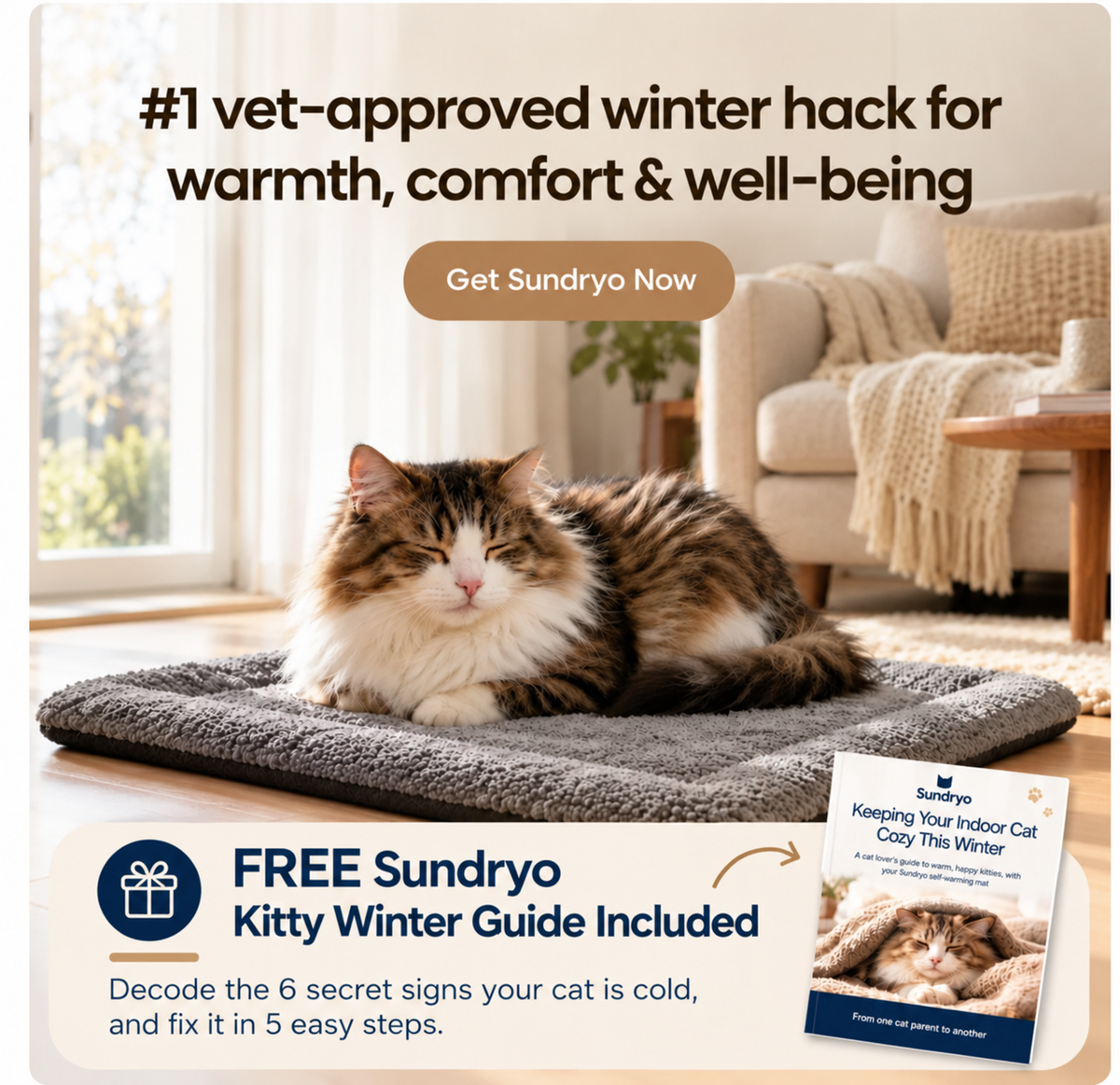 Stop the Heat Drain That’s Making Your Cat Stiff, Curled, and Cold