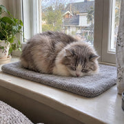 Stop the Heat Drain That’s Making Your Cat Stiff, Curled, and Cold