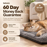 Stop the Heat Drain That’s Making Your Cat Stiff, Curled, and Cold