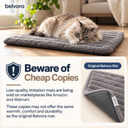Stop the Heat Drain That’s Making Your Cat Stiff, Curled, and Cold